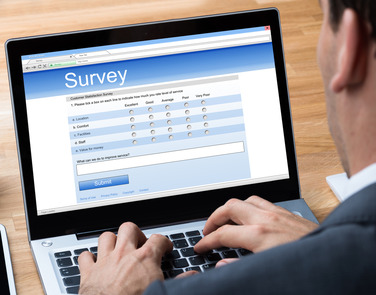 Online Surveys